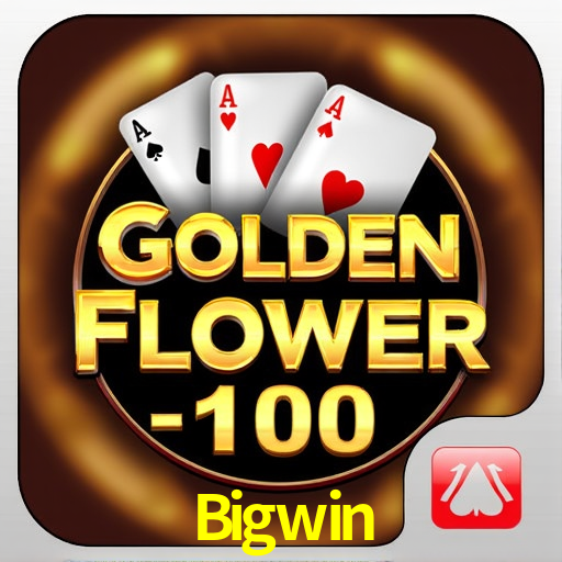 Experiência VIP Bigwin